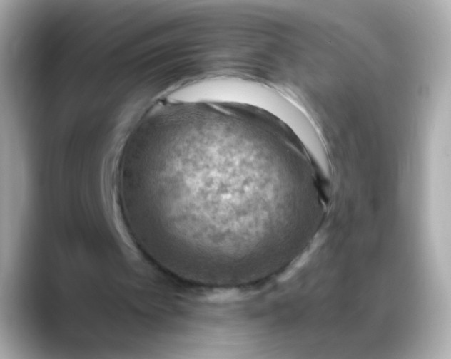 X0000088450097200706051313