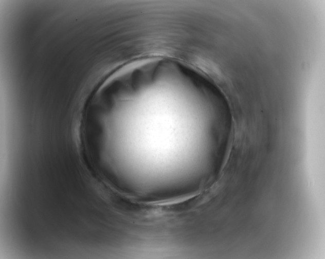 X0000088450098200706051313
