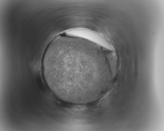 X0000088450099200706051313