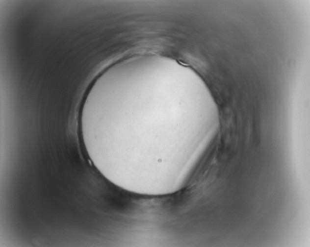 X0000088450100200706051313