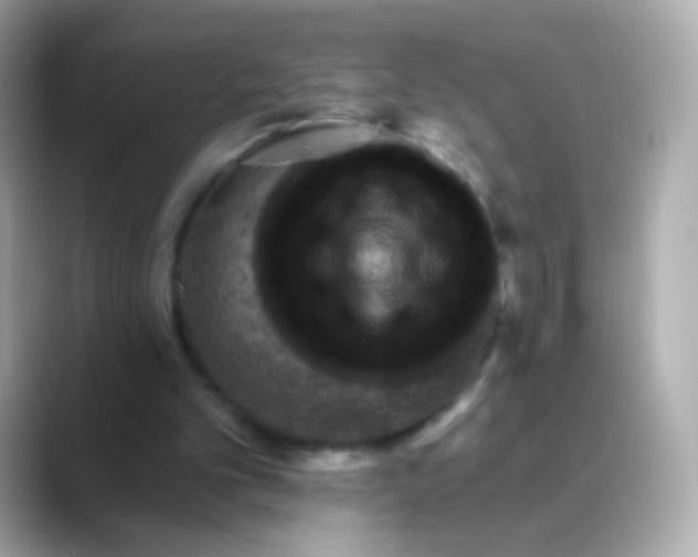 X0000088450101200706051313