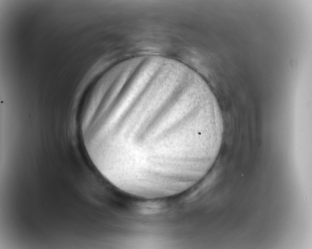 X0000088450102200706051313