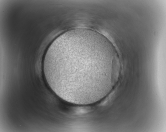X0000088450103200706051313