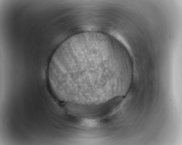 X0000088450105200706051313