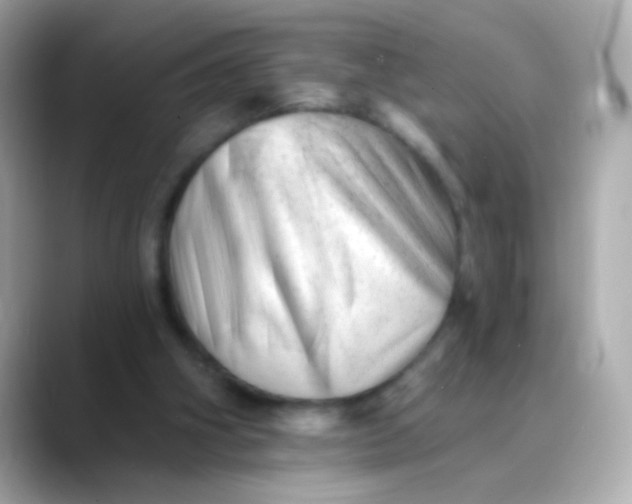 X0000088450106200706051313