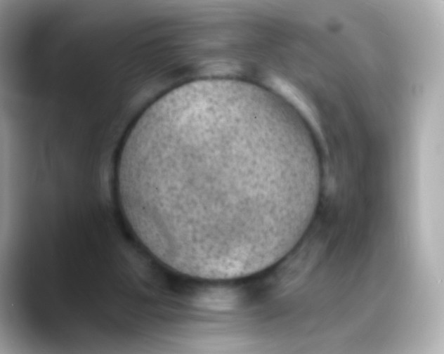 X0000088450107200706051313
