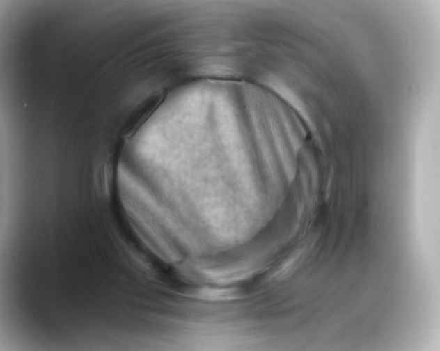 X0000088450109200706051313