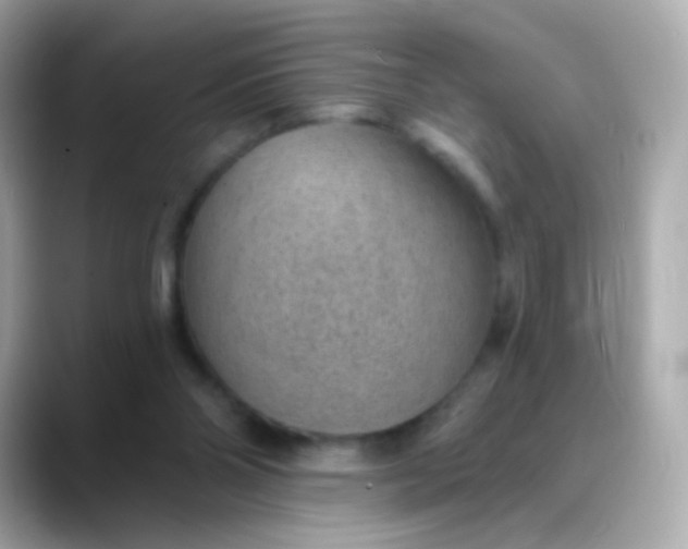X0000088450110200706051313