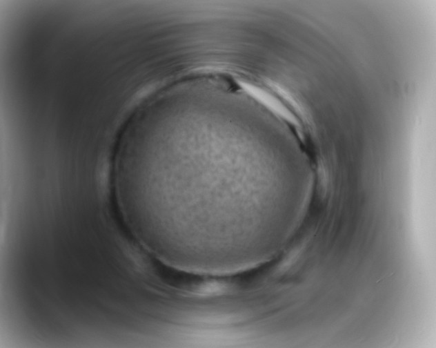 X0000088450111200706051313