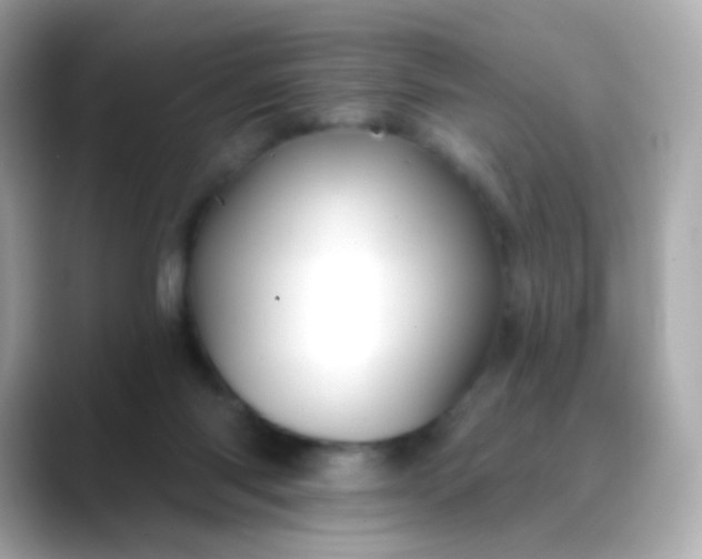 X0000088450118200706051313