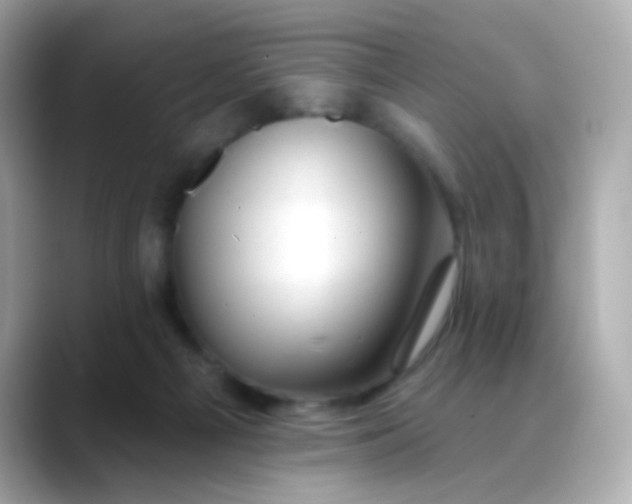 X0000088450121200706051313