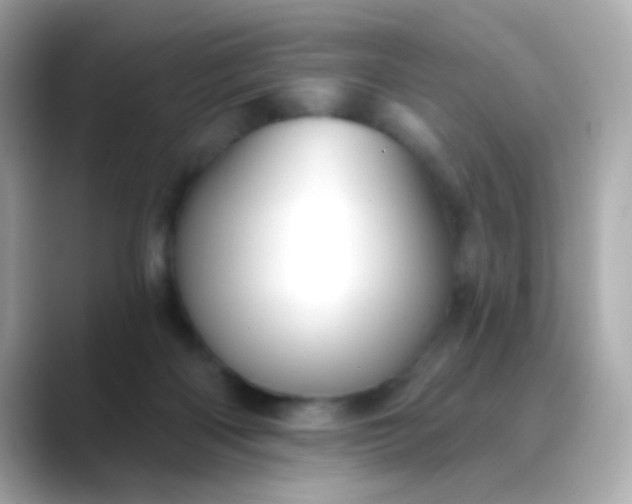 X0000088450122200706051313