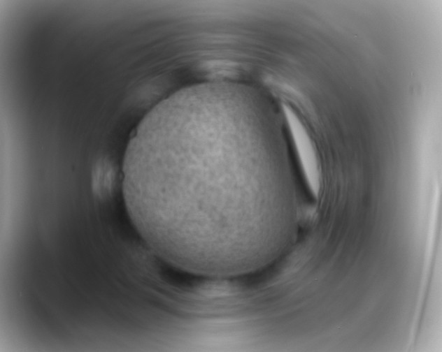 X0000088450123200706051313