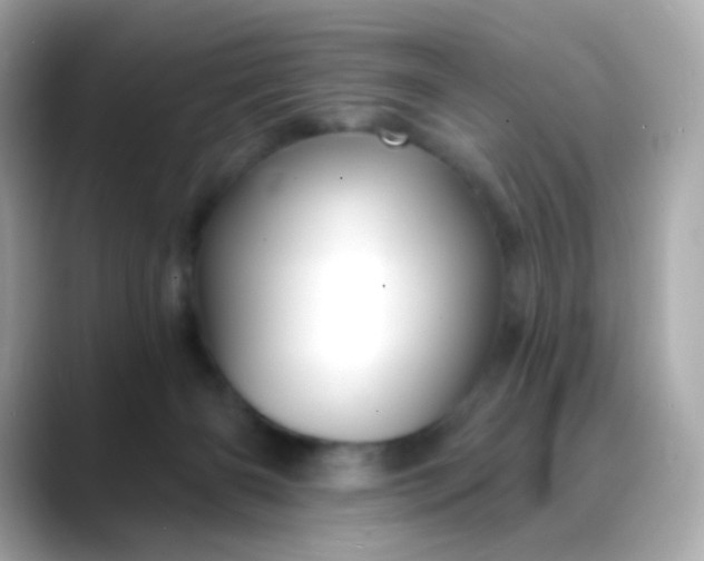 X0000088450126200706051313