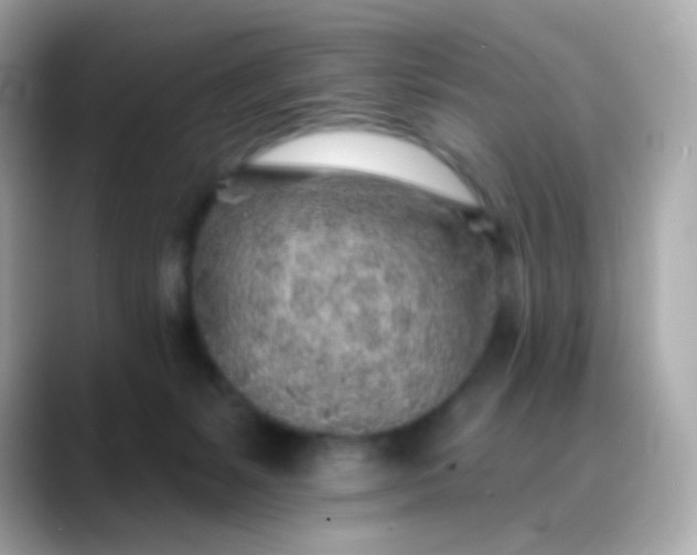 X0000088450127200706051313