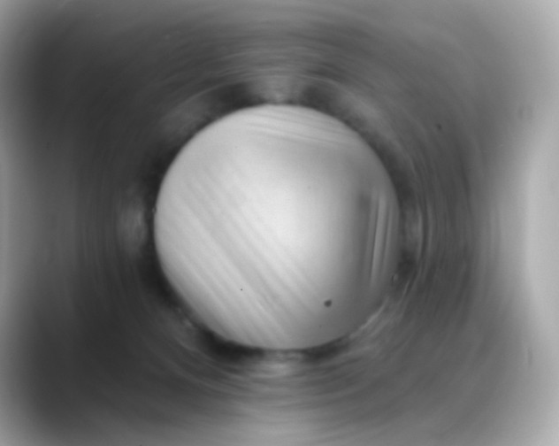 X0000088450128200706051313
