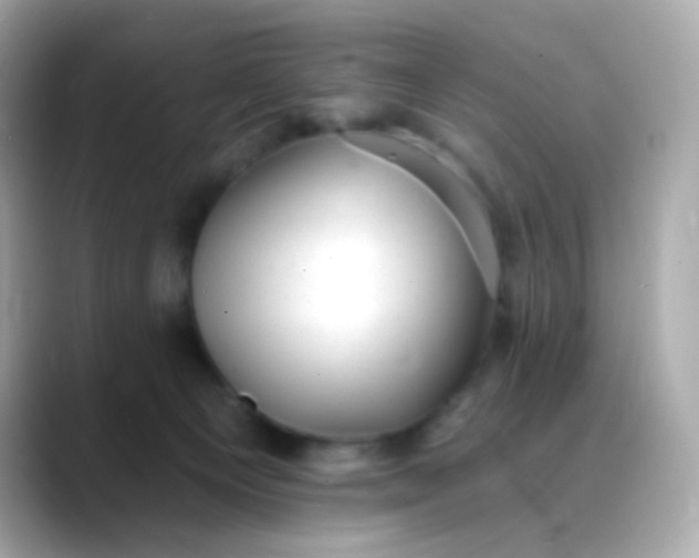 X0000088450129200706051313