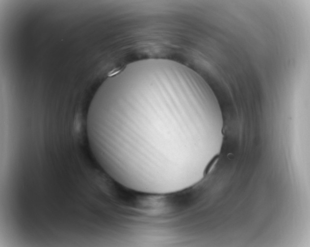 X0000088450132200706051313