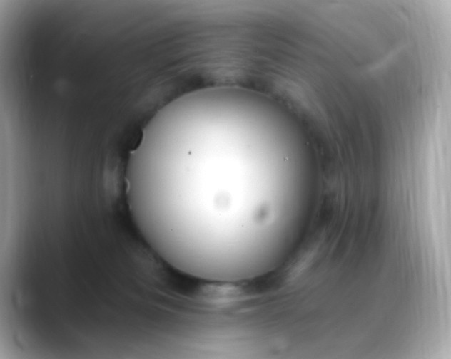 X0000088450133200706051313