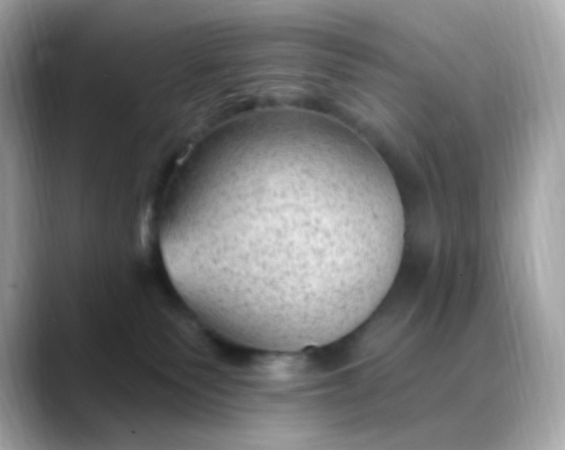 X0000088450135200706051313