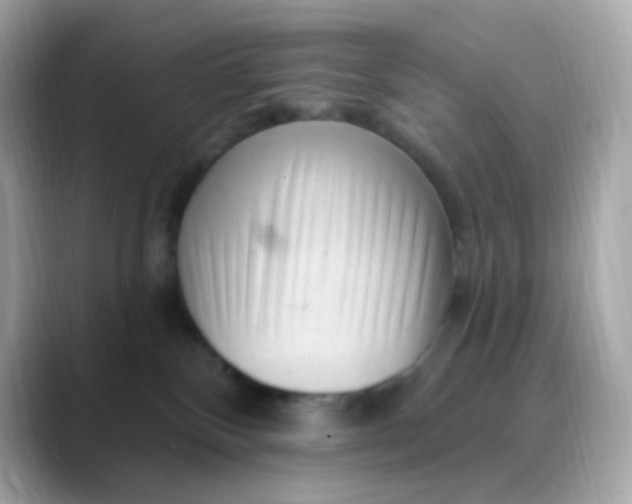X0000088450136200706051313