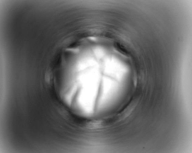 X0000088450138200706051313