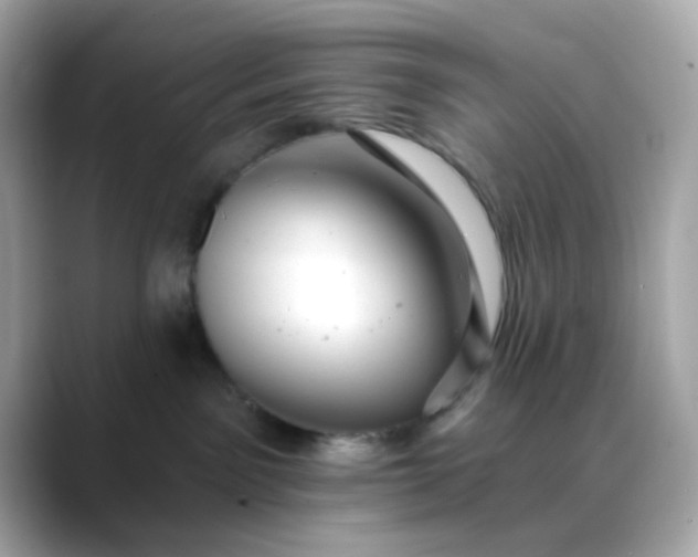 X0000088450141200706051313