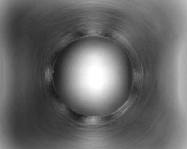 X0000088450142200706051313