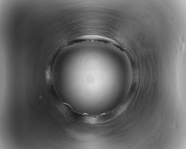 X0000088450143200706051313