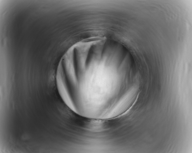 X0000088450144200706051313