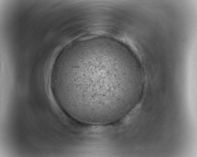 X0000088450145200706051312