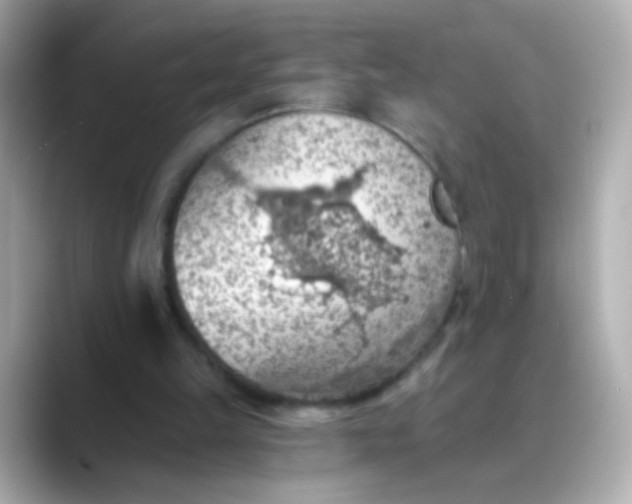 X0000088450149200706051312