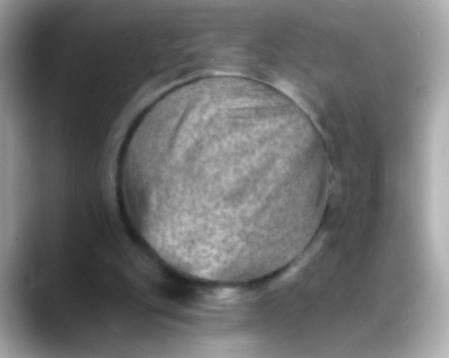 X0000088450151200706051312