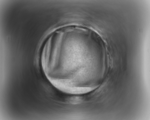 X0000088450152200706051312