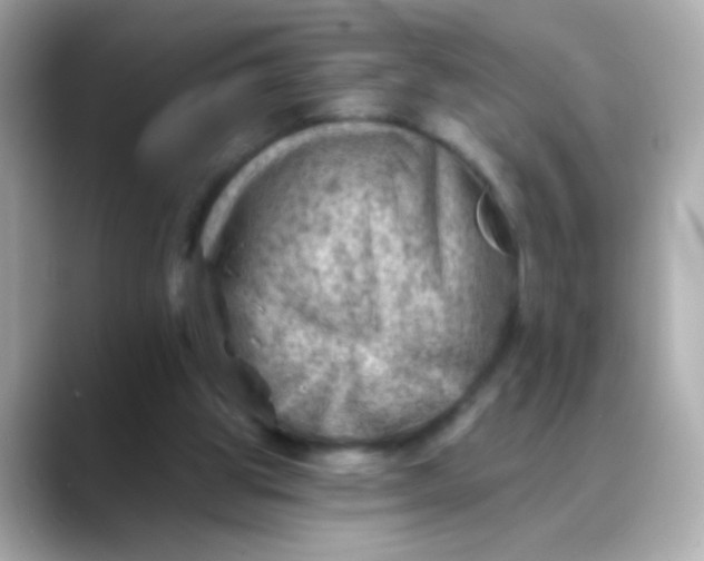 X0000088450153200706051312