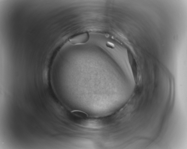 X0000088450154200706051312