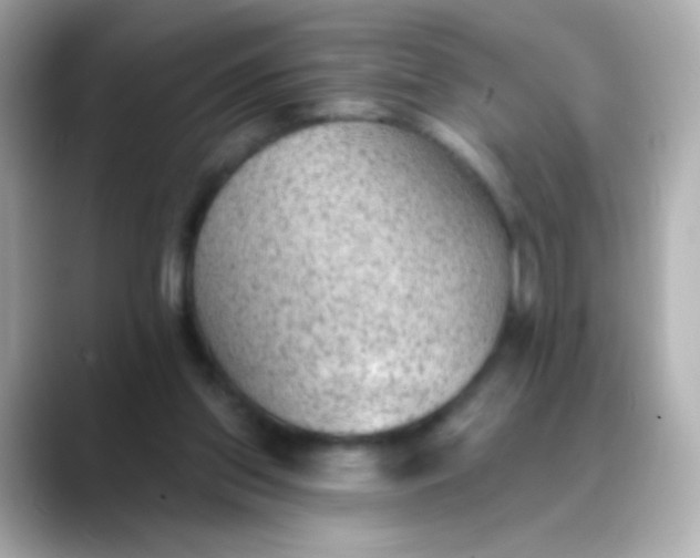 X0000088450157200706051312