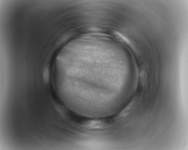 X0000088450158200706051312