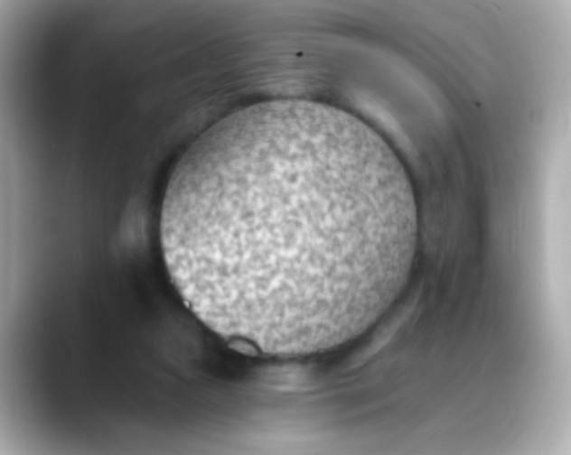 X0000088450161200706051312