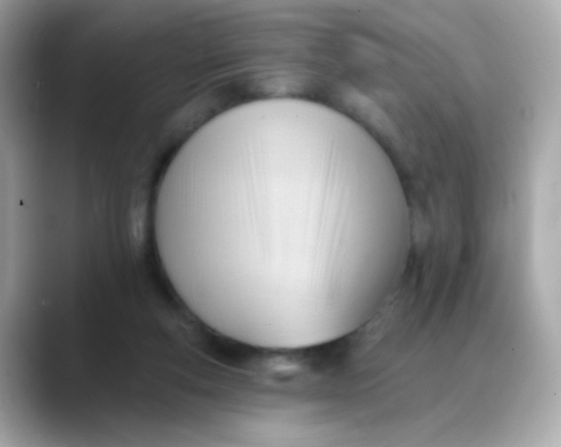 X0000088450163200706051312