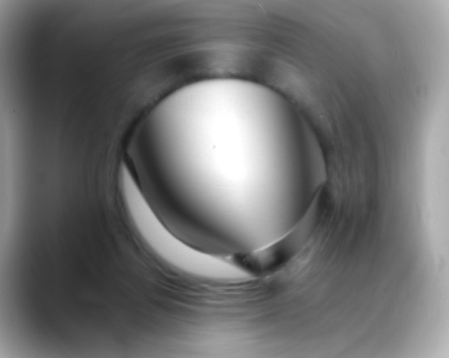 X0000088450164200706051312