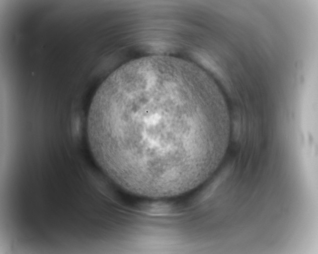 X0000088450165200706051312