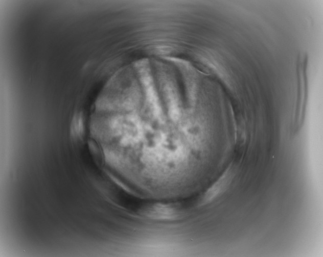 X0000088450166200706051312