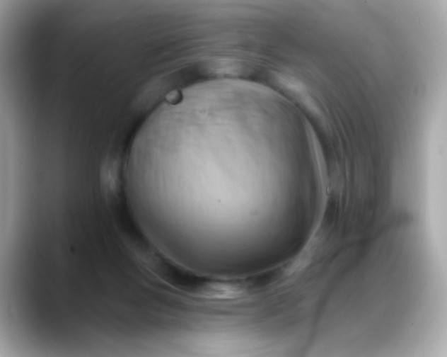 X0000088450167200706051313