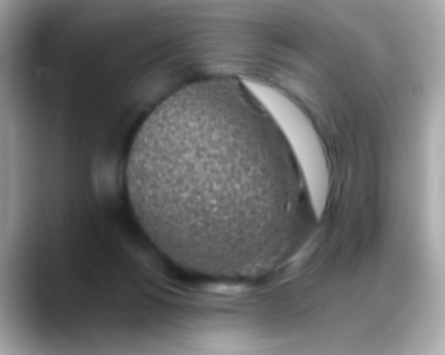 X0000088450168200706051313