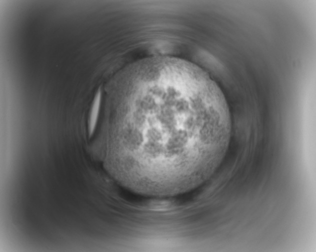 X0000088450169200706051313