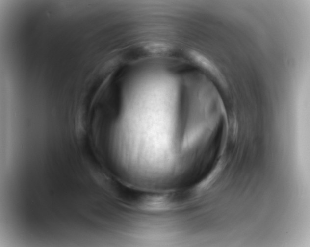 X0000088450170200706051313