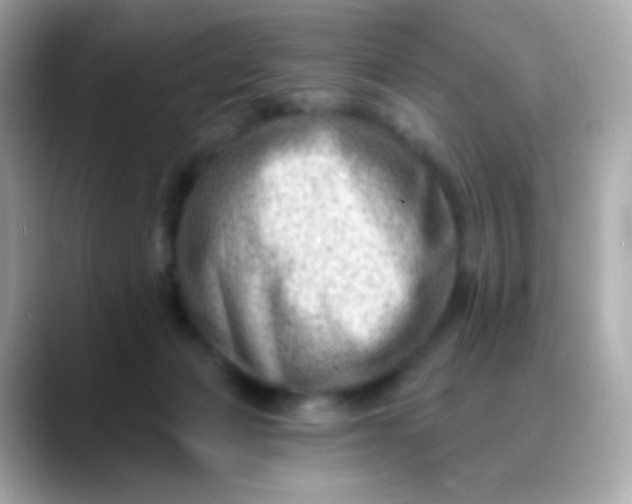X0000088450173200706051313