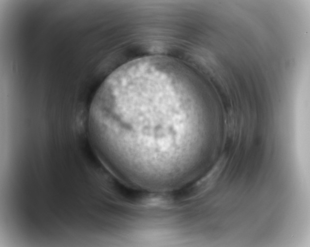 X0000088450175200706051313