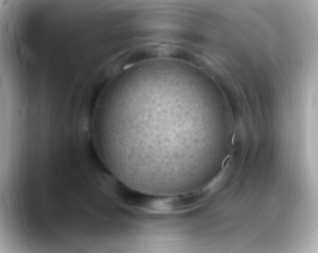 X0000088450178200706051313